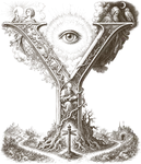 Y