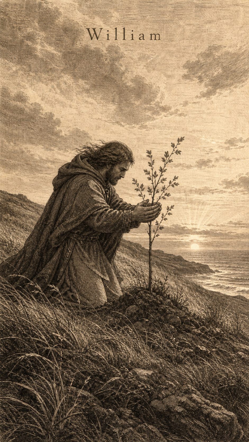 Illustration gravée du prénom William