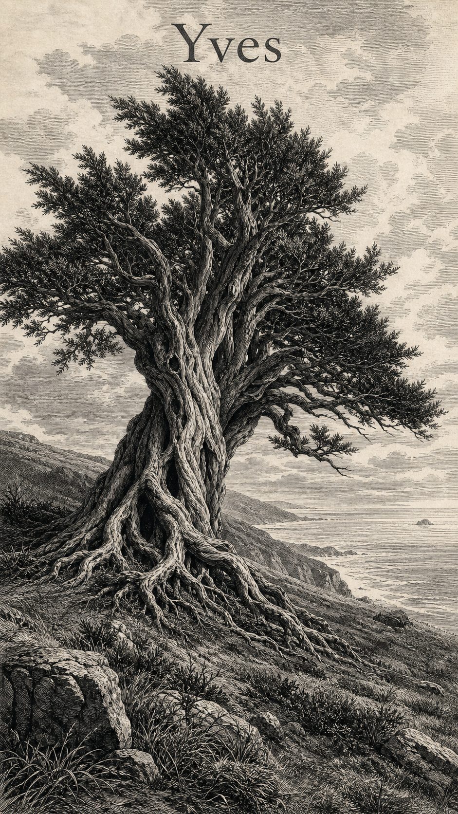 Illustration gravée du prénom Yves